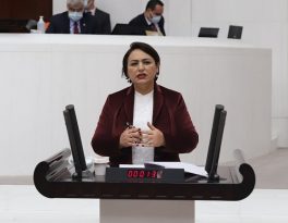 “Adana’yı, Adanalı’yı kimse yabana atamaz”