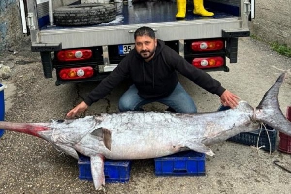 Boyu 3 metre, ağırlığı 150 kilo! Avladığı dev kılıç balığını 30 bin TL’ye sattı