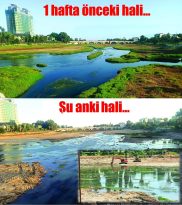 Seyhan Nehir Yatağı, Kel Ali’nin bağına döndü