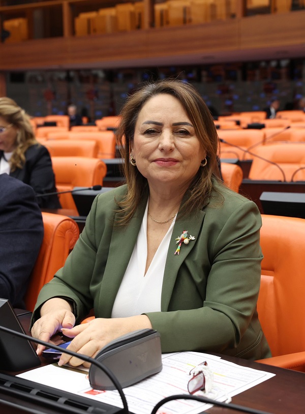 Aladağ’a ‘Kayak Merkezi’ çağrısı…